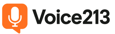 Voice213 Logo